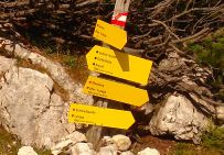 2013-10-08_Guffert (123)b.JPG